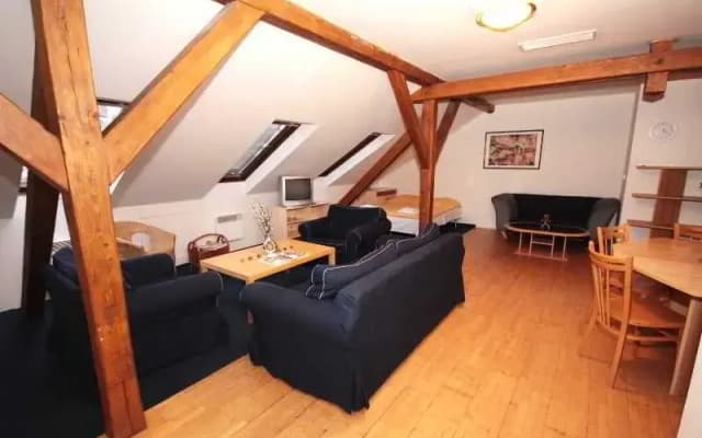 Jungmann Apartments - photo 5