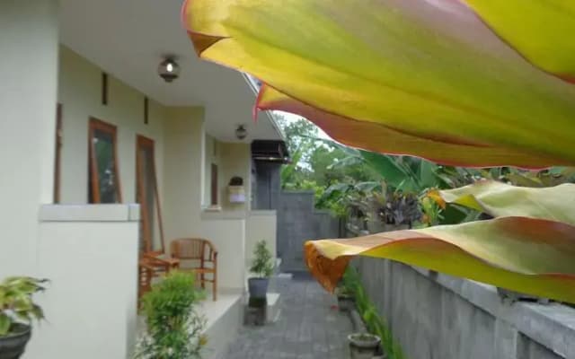 Sintya Homestay - photo 4