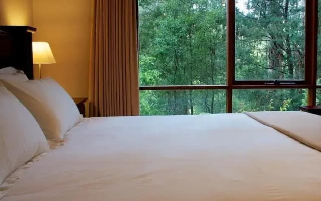 Olinda Guest House - photo 2