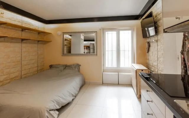 Studio a Paris et désinfection rigoureux du logis - photo 4