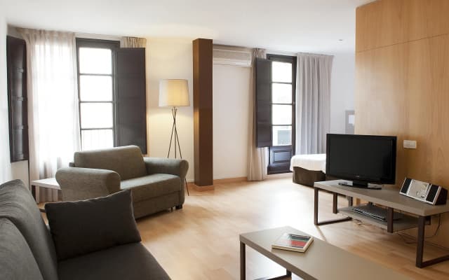Aspasios Plaza Real Apartments - photo 3