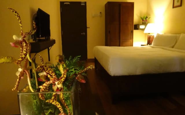 Betel Nut Lodge - Adult Only - photo 3
