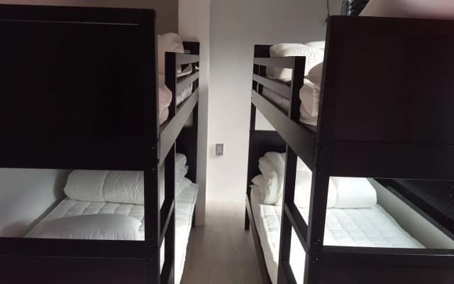 Amazon Guesthouse - Hostel - photo 5