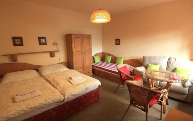 Hotel Frýdl - photo 4