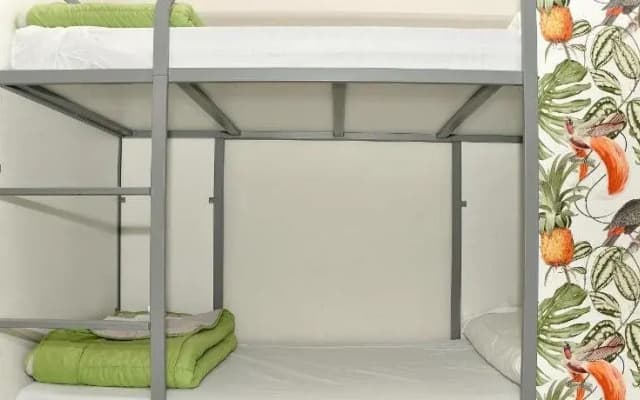 Cat's Hostel - photo 3