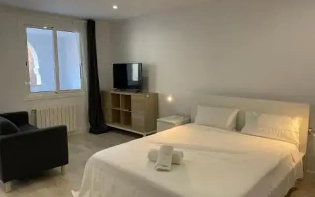 Apartamentos Barcelona-Iberia - photo 4