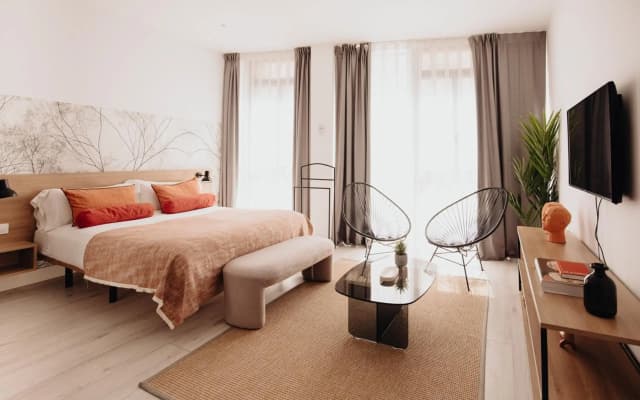 Aspasios Atocha Apartments - photo 3
