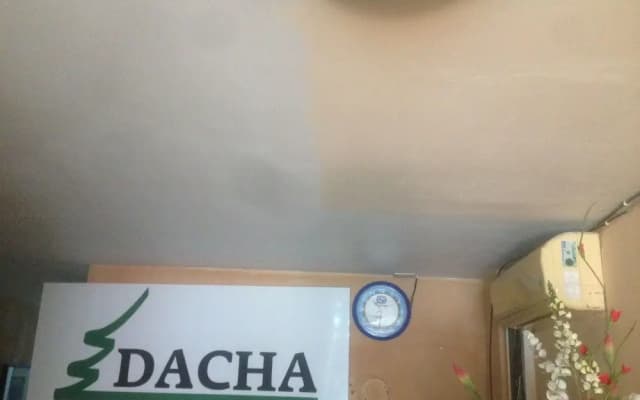 Hotel Dacha - photo 2