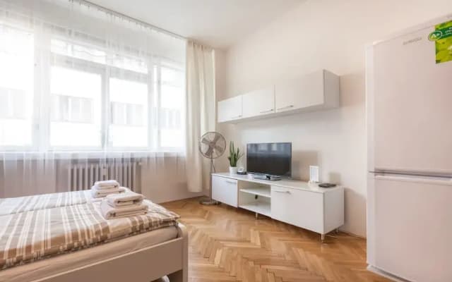 Charles Square  ApartMeet - photo 4
