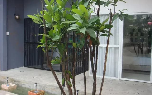 Indie House @ Nimman - photo 2