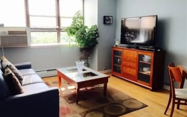 Central Park View Apartment - photo 3