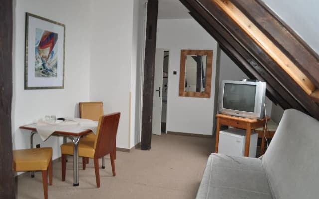 Hotel Svornost - photo 5