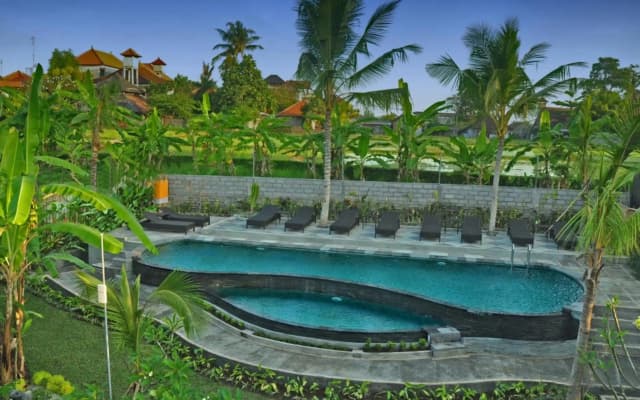 Bucu Guest House - photo 4