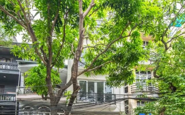 22Housing 48 Phan Ke Binh - photo 2