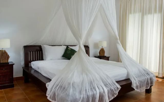 Ivory 2 Villa - photo 2