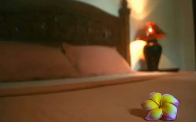 Family Guest House - photo 2