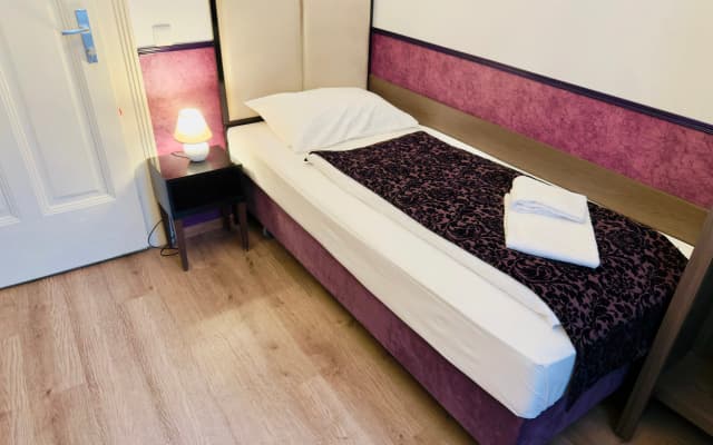 Hotel Pension Baron am Schottentor - photo 3