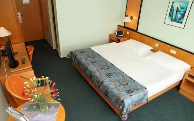 Hotel Cechie Praha - photo 5