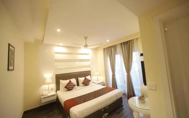 Hotel Picasso Naraina - photo 2