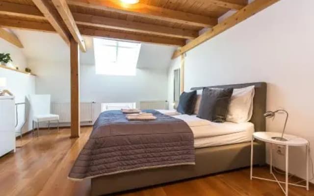 Attic Apartment by Wenceslas Square - photo 5