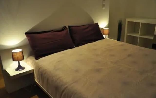 Bluedanube Apartments - photo 2