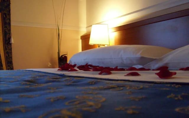 Gerbera Bed & Breakfast - photo 3