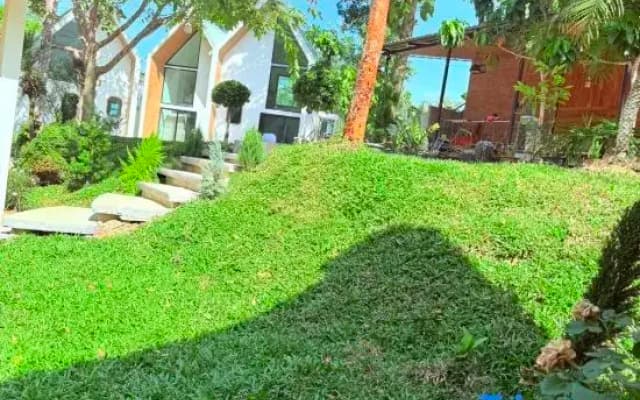 Lanta Forest Resort&Villas - photo 4