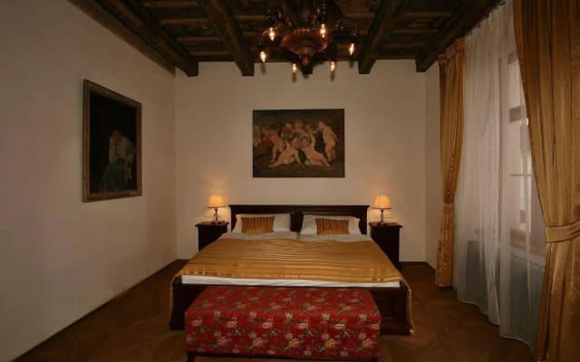 Residence U Mecenáše - photo 5