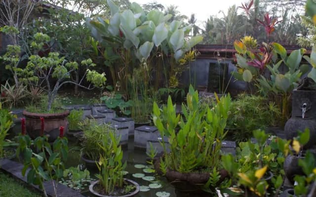 Rumah Sungai Villa - photo 2