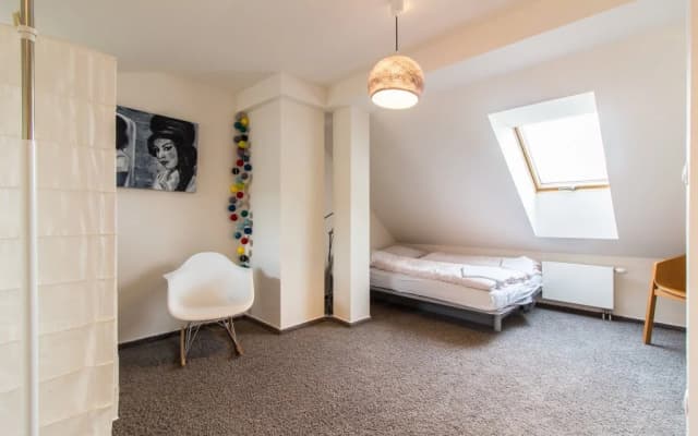 Krizikova Apartment Prague 8 - photo 4