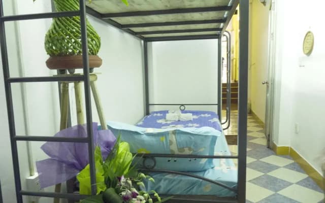 Daisy Hostel - photo 2
