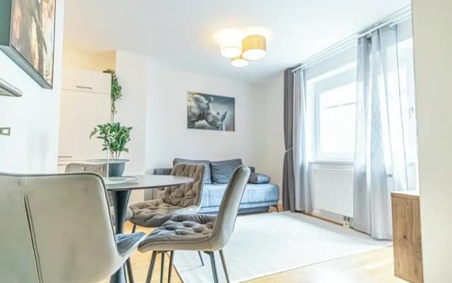 Comfortable 1BR 1LR City Center Apt - photo 4