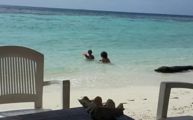 Hudhu Raakani Lodge - photo 2