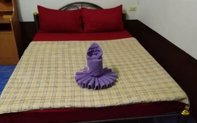 T&M Guesthouse - photo 4