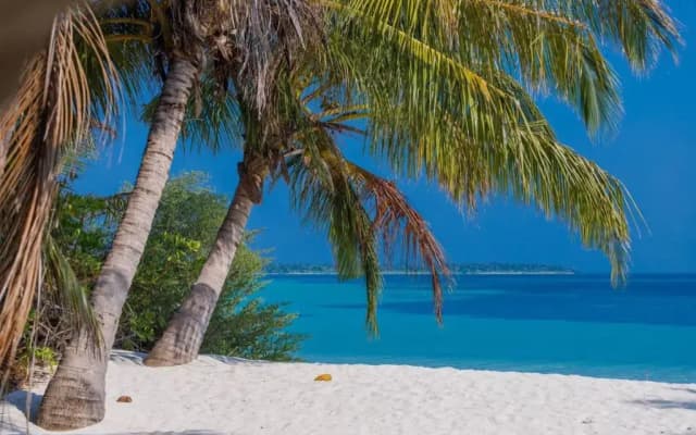 Fehendhoo Stay - photo 4