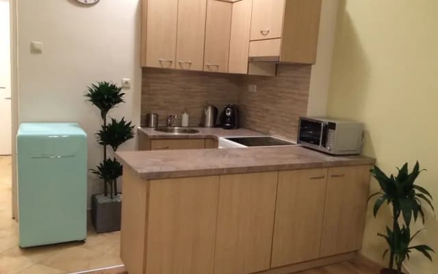 Riverview Apartment Budapest - photo 5