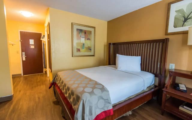 B&B Hotel Orlando International Drive Near Universal - Newly Renovated! - photo 4