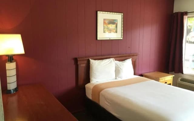 Holiday Lodge - photo 4