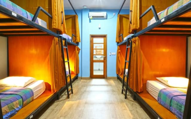 New Ubud Hostel - photo 3