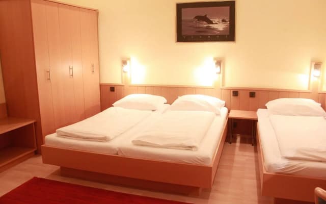 Pension Wild - photo 3