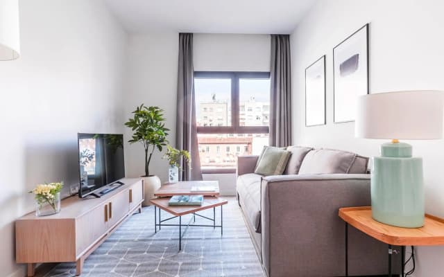 Feelathome Goya Apartments - photo 4