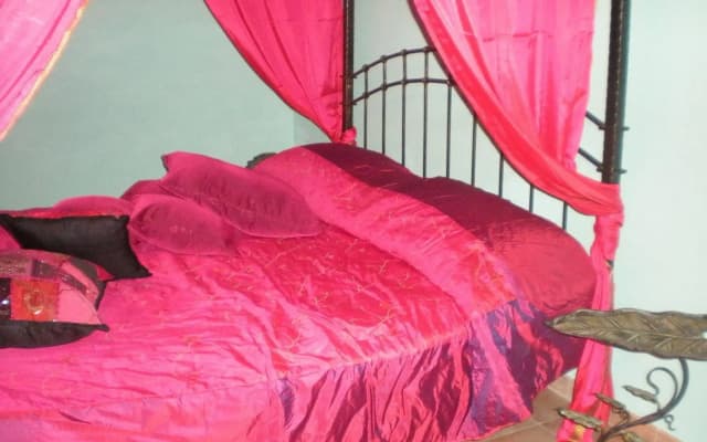 Shiva Bed and Breakfast - photo 4