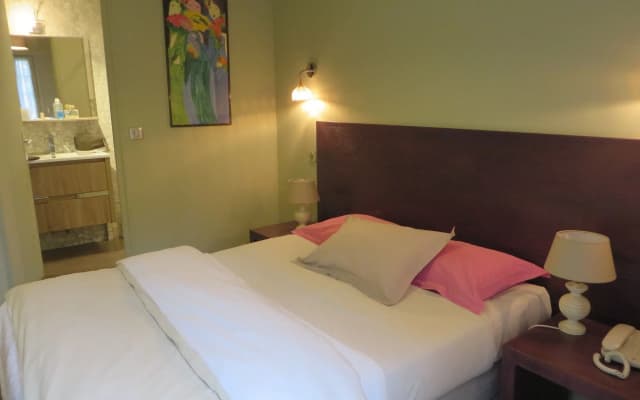 Hotel Le Vert Galant - photo 4