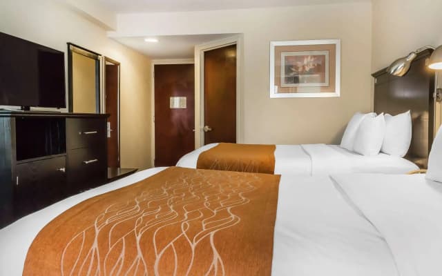 Comfort Inn & Suites LaGuardia Airport - photo 5