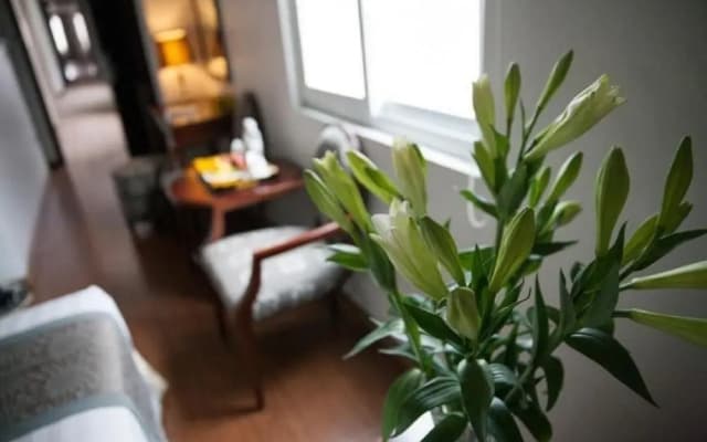Skylark Boutique Hotel - photo 4