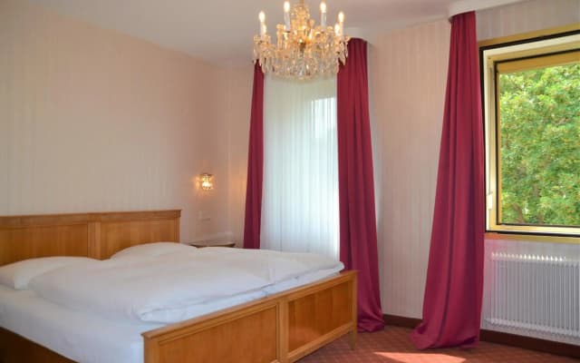 Hotel an der Wien - photo 4