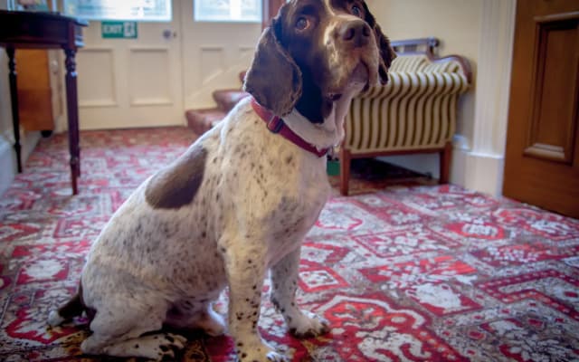 Kingsley Edinburgh - photo 3