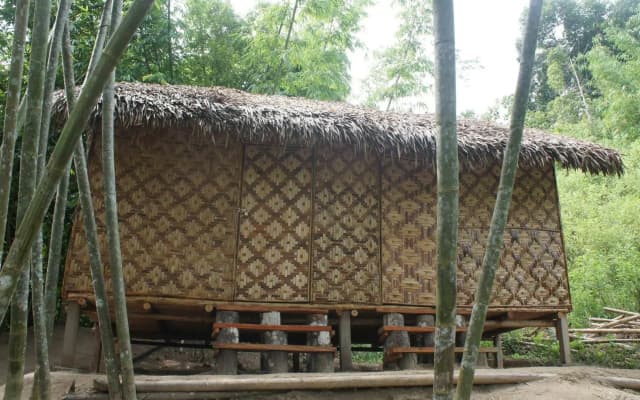 Rain Forest Inn - photo 5