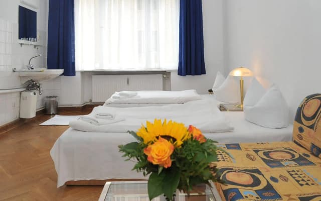 Pension Brinn - photo 3