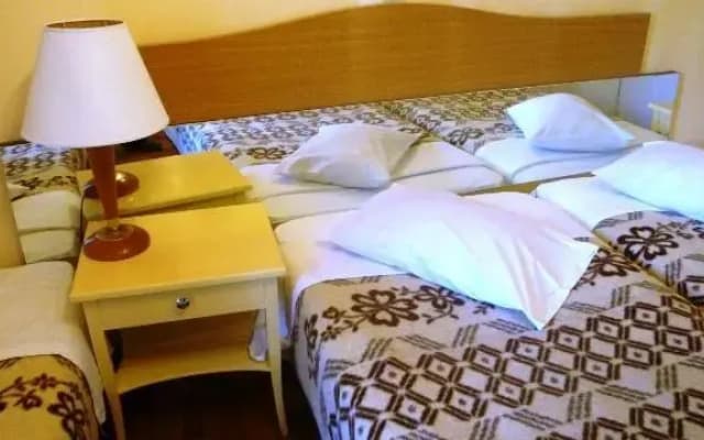 Aris Hotel - photo 2